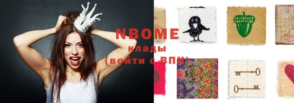 хмурый Нея