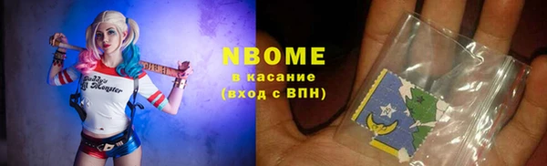 индика Нефтегорск