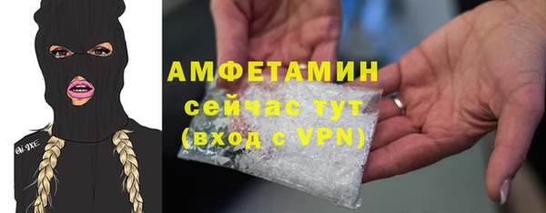 индика Нефтегорск