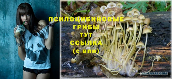 хмурый Нея