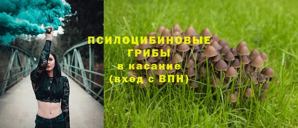 амф Нефтекумск