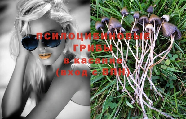 индика Нефтегорск