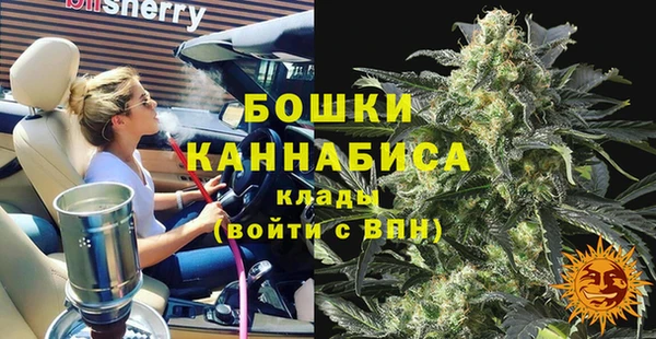 хмурый Нея