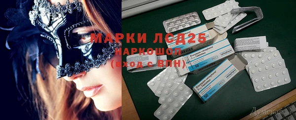 хмурый Нея