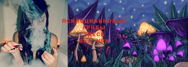 прущие крисы Новокубанск