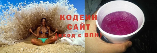 индика Нефтегорск