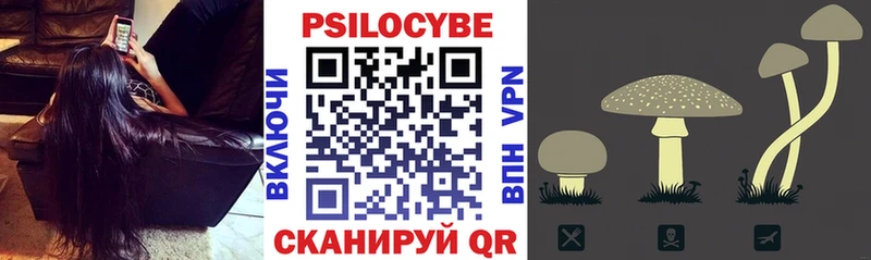 нарко площадка как зайти ссылка на мегу сайт Галлюциногенные грибы GOLDEN TEACHER Качканар наркошоп