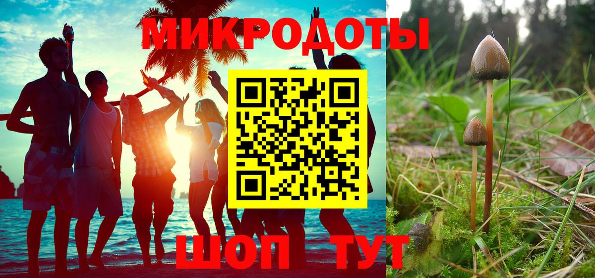 Псилоцибиновые грибы Magic Shrooms  где продают   Качканар  Псилоцибиновые грибы MAGIC MUSHROOMS  Вход с VPN 